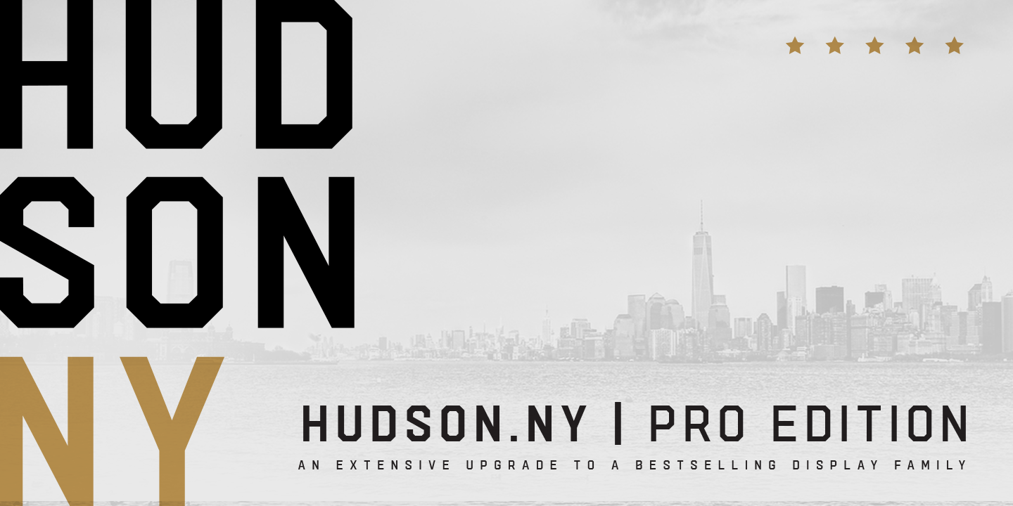 Hudson NY Pro Thin Italic Font preview